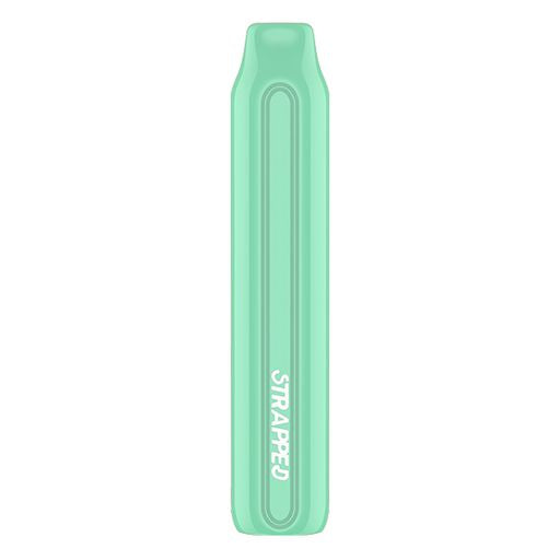 Strapped Stix Disposable Vape Device